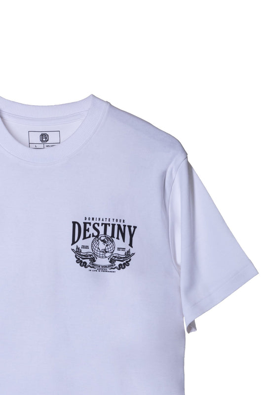 DOMINATE YOUR DESTINY