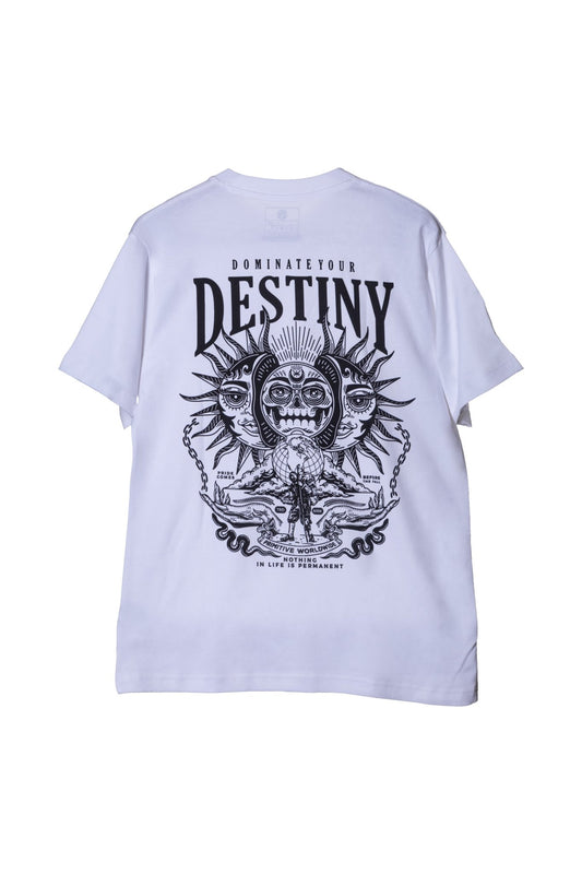 DOMINATE YOUR DESTINY
